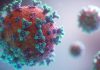 Coronavirus: Dari Endemi Hingga Pandemi, Apa Hikmahnya?