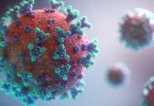 Coronavirus: Dari Endemi Hingga Pandemi, Apa Hikmahnya?