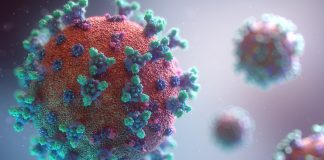Coronavirus: Dari Endemi Hingga Pandemi, Apa Hikmahnya?
