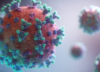 Coronavirus: Dari Endemi Hingga Pandemi, Apa Hikmahnya?