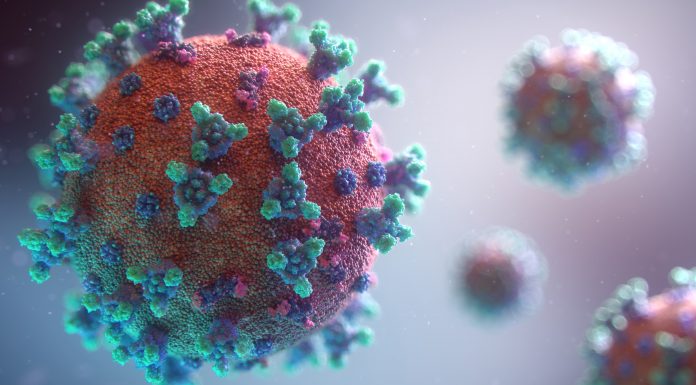 Coronavirus: Dari Endemi Hingga Pandemi, Apa Hikmahnya?
