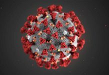 Coronavirus: Sebuah Diskursus Tentang Fenomena Biologis, Dabbah dan Kiamat