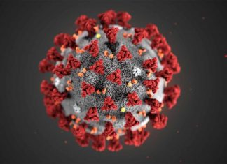 Coronavirus: Sebuah Diskursus Tentang Fenomena Biologis, Dabbah dan Kiamat