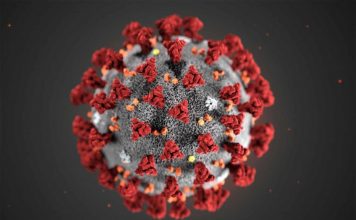 Coronavirus: Sebuah Diskursus Tentang Fenomena Biologis, Dabbah dan Kiamat