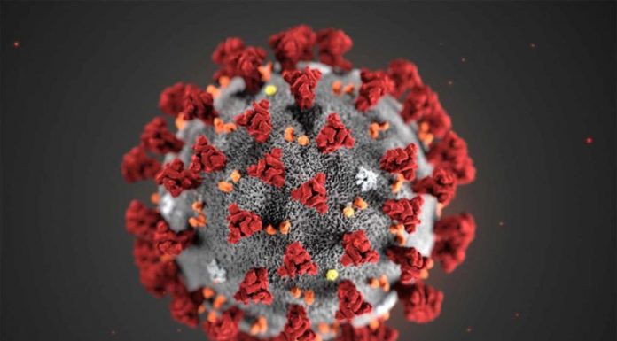 Coronavirus: Sebuah Diskursus Tentang Fenomena Biologis, Dabbah dan Kiamat