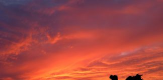 Keyakinan Nabi Muhammad SAW Sebelum Menjadi Rasul