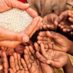 Setitik Keindahan Ditengah Pandemi Covid-19