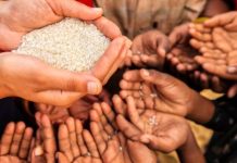 Setitik Keindahan Ditengah Pandemi Covid-19