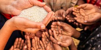 Setitik Keindahan Ditengah Pandemi Covid-19