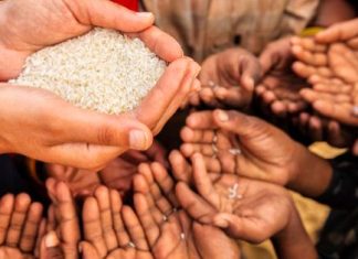 Setitik Keindahan Ditengah Pandemi Covid-19