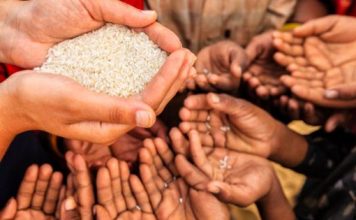 Setitik Keindahan Ditengah Pandemi Covid-19