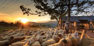 Gelar Ruddar Gopal untuk Almasih yang Dijanjikan