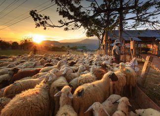 Gelar Ruddar Gopal untuk Almasih yang Dijanjikan