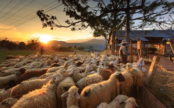 Gelar Ruddar Gopal untuk Almasih yang Dijanjikan