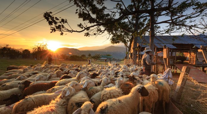 Gelar Ruddar Gopal untuk Almasih yang Dijanjikan