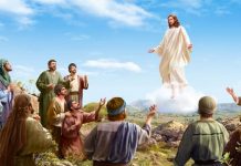 Kabar Suka, Nabi Isa a.s. Yang Dijanjikan Sudah Datang