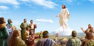 Kabar Suka, Nabi Isa a.s. Yang Dijanjikan Sudah Datang