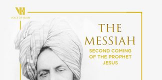 Hakikat Imam Mahdi yang Langka Diketahui