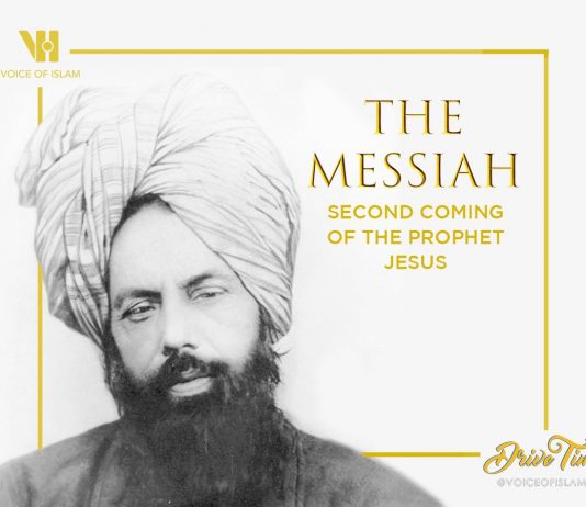 Hakikat Imam Mahdi yang Langka Diketahui