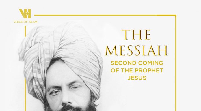 Hakikat Imam Mahdi yang Langka Diketahui