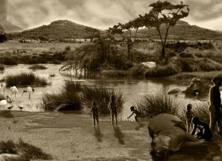 Nabi Adam a.s manusia pertama?