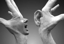 Geger Umpatan dari Hewan “Canis sp.”