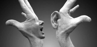 Geger Umpatan dari Hewan “Canis sp.”