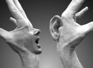 Geger Umpatan dari Hewan “Canis sp.”