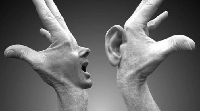 Geger Umpatan dari Hewan “Canis sp.”