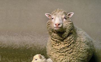 Rekayasa Genetika: Keterbatasan Manusia Memanipulasi Kehidupan