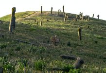 Hadis Turunnya Nabi Isa, Layakah Dipercaya?