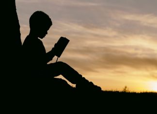 Kapan Edukasi Seks untuk Anak dapat dimulai?