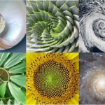 Allah Ta’ala – Desainer yang Hakiki