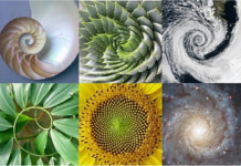 Allah Ta’ala – Desainer yang Hakiki