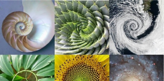 Allah Ta’ala – Desainer yang Hakiki