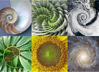 Allah Ta’ala – Desainer yang Hakiki