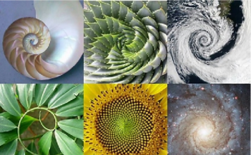 Allah Ta’ala – Desainer yang Hakiki