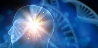 Ramadan dan Kesehatan Otak: Bagaimana Puasa Meningkatkan Konsentrasi dan Ingatan?