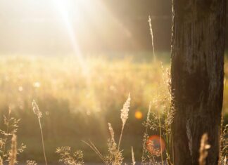 Mukjizat Huruf Basmalah