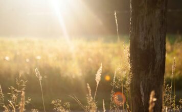 Mukjizat Huruf Basmalah