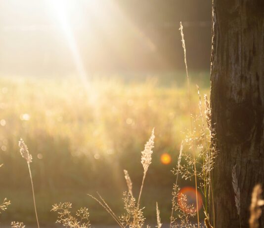 Mukjizat Huruf Basmalah