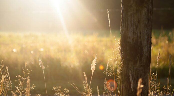 Mukjizat Huruf Basmalah