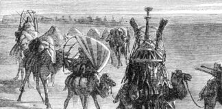 Belajar dari barisan Unta, Tajamnya Kaktus dan Sholat Berjamaah.