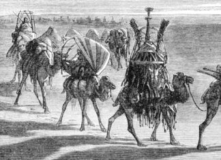 Belajar dari barisan Unta, Tajamnya Kaktus dan Sholat Berjamaah.