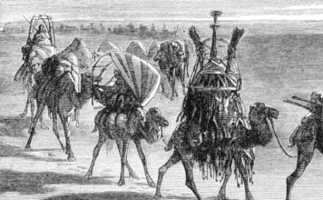 Belajar dari barisan Unta, Tajamnya Kaktus dan Sholat Berjamaah.