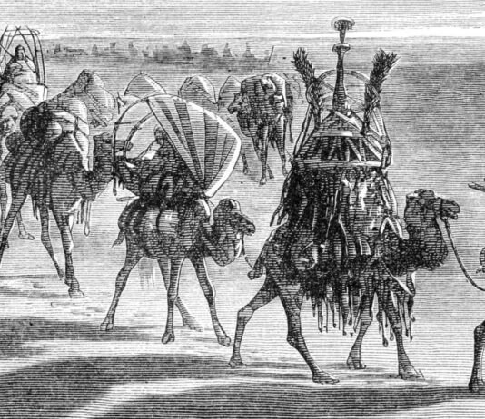 Belajar dari barisan Unta, Tajamnya Kaktus dan Sholat Berjamaah.